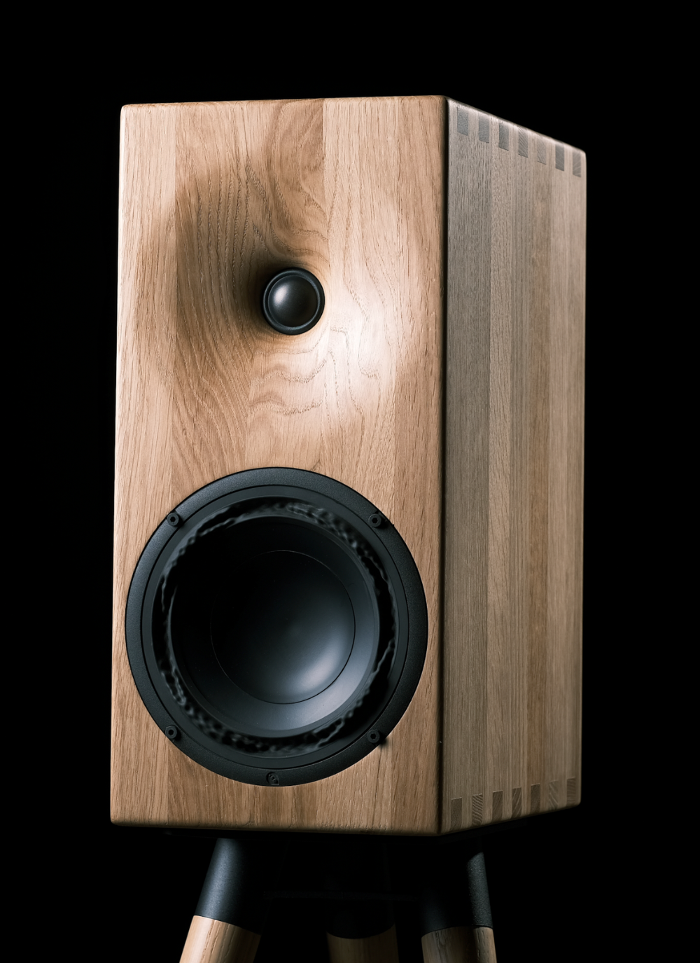 Buchardt Audio E50 Passive speaker