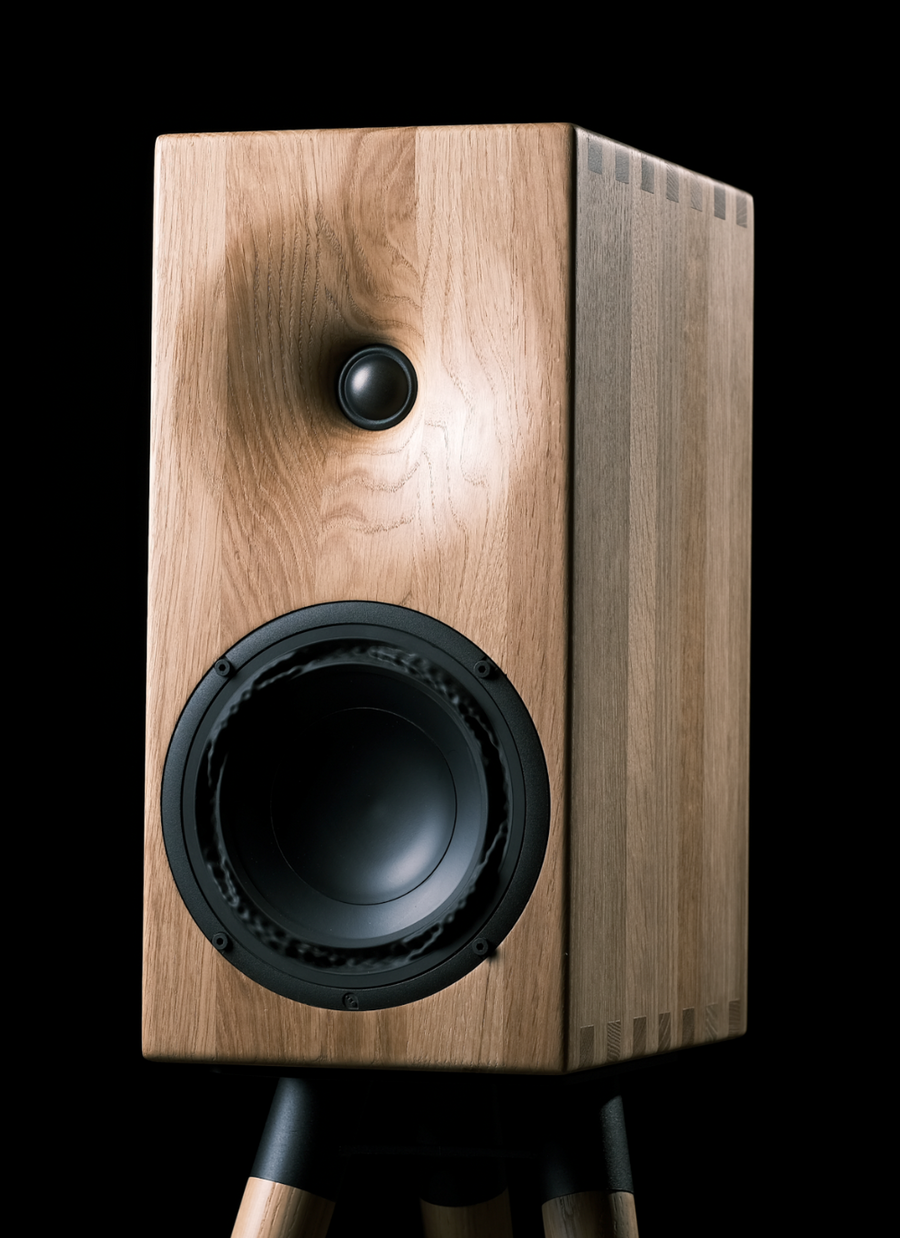 Buchardt Audio E50 Passive speaker