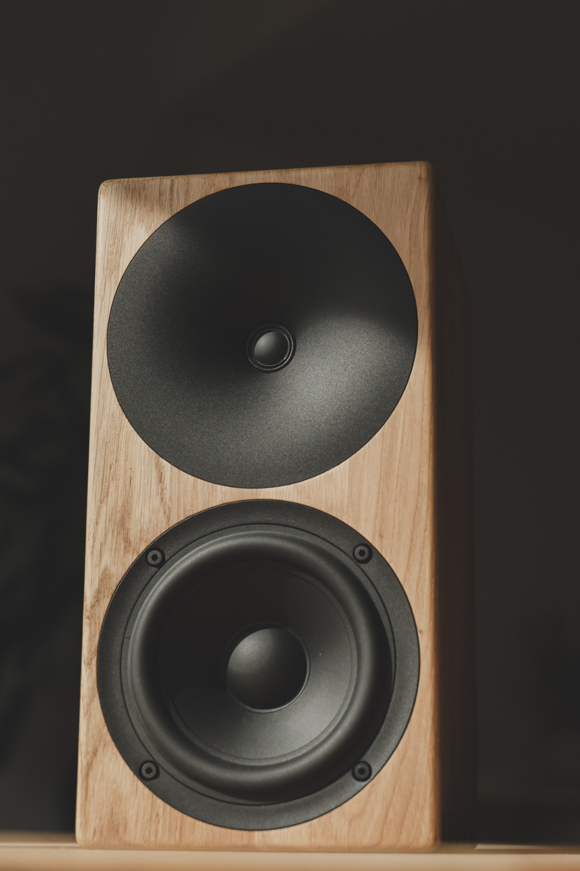 A200 Solid Wood – Buchardt Audio