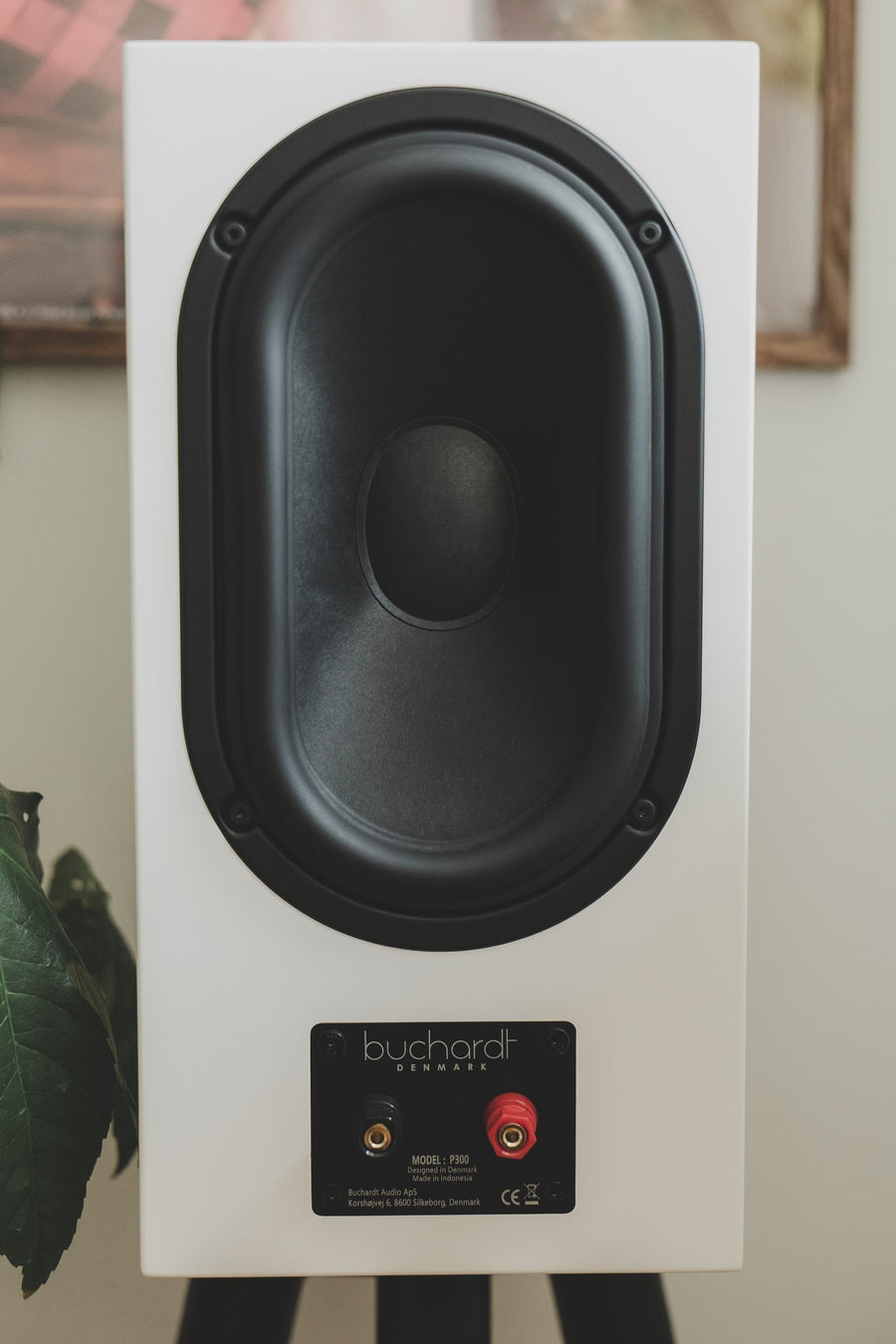 P300