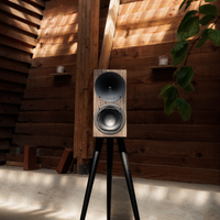 Anniversary 10 - A10 Active Wireless Speakers – Buchardt Audio